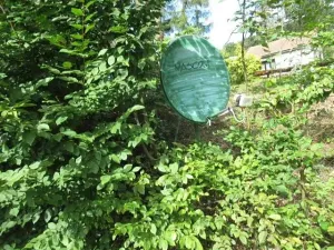 Prodej chaty, Dolní Žandov, 45 m2