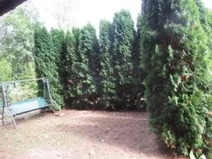 Prodej chaty, Dolní Žandov, 45 m2