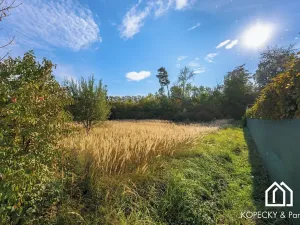 Prodej pozemku pro bydlení, Močovice, 2044 m2