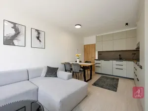 Pronájem bytu 2+kk, Brno, Křepelčí, 50 m2
