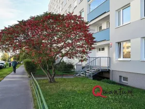 Prodej bytu 2+kk, Praha - Stodůlky, Přecechtělova, 43 m2