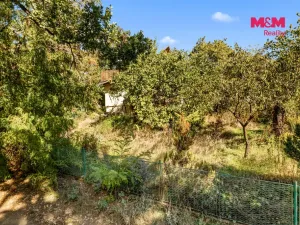 Prodej chaty, Zdiby - Přemyšlení, Strmá, 55 m2