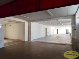 Pronájem obchodního prostoru, Litovel, Novosady, 501 m2