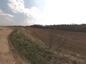 Prodej podílu pole, Zvěstovice, 423 m2