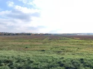 Prodej podílu pole, Luže, 14015 m2