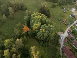 Prodej lesa, Větřní, 3373 m2