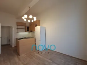 Pronájem bytu 3+kk, Praha - Nové Město, Opletalova, 71 m2