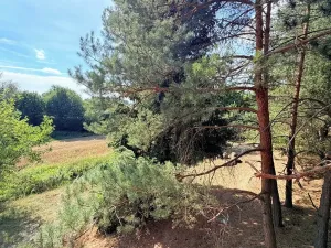 Prodej - jiné, Trnava, 107 m2