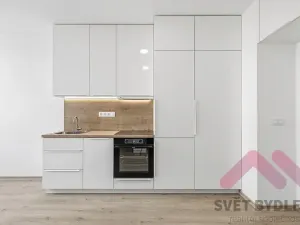 Pronájem bytu 1+kk, Praha - Žižkov, Biskupcova, 25 m2