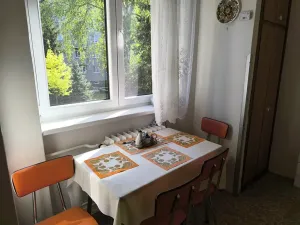 Pronájem bytu 3+1, Hradec Králové, Sládkova, 63 m2