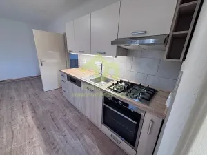 Pronájem rodinného domu, Rokycany, Stará cesta, 41 m2