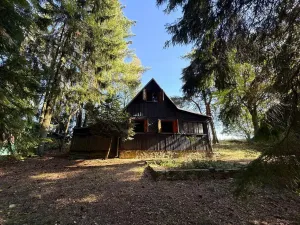 Prodej chaty, Borová, 53 m2