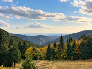 Prodej, Loučná nad Desnou - Kouty nad Desnou, 39 m2