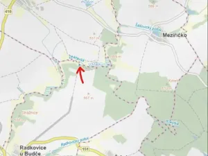 Prodej lesa, Radkovice u Budče, 783 m2
