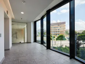 Pronájem obchodního prostoru, Praha - Krč, Na strži, 195 m2