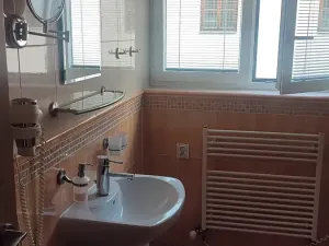 Pronájem bytu 1+kk, Frýdek-Místek, Ostravská, 32 m2
