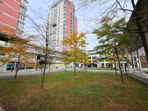 Pronájem bytu 2+kk, Praha - Strašnice, Názovská, 59 m2