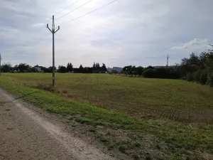 Dražba pozemku pro bydlení, Vrbice, 9030 m2