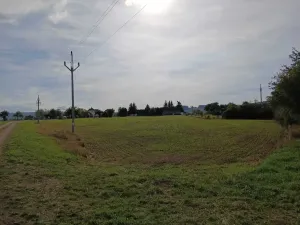 Dražba pozemku pro bydlení, Vrbice, 9030 m2