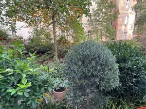Pronájem bytu 1+kk, Praha - Vinohrady, Polská, 53 m2