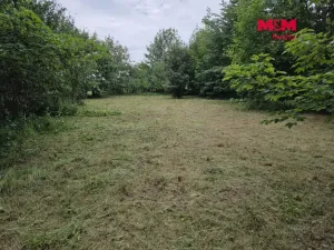 Prodej pozemku pro bydlení, Bor - Boječnice, 1093 m2