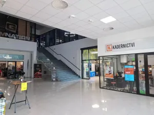 Pronájem obchodního prostoru, Brno, Kaštanová, 190 m2