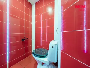 Prodej bytu 3+1, Strakonice - Strakonice II, Družstevní, 63 m2