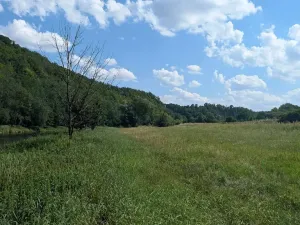 Prodej zahrady, Nadryby, 642 m2