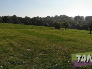 Prodej pozemku pro bydlení, Vyskeř, 1004 m2