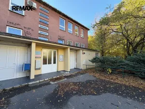 Pronájem obchodního prostoru, Praha - Strašnice, Štěchovická, 26 m2