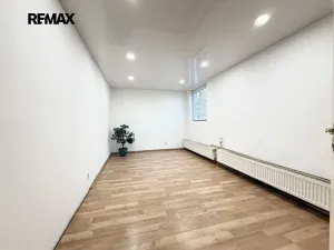 Pronájem skladu, Praha - Strašnice, Štěchovická, 26 m2