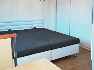 Pronájem bytu 1+kk, Praha - Žižkov, Slavíkova, 42 m2