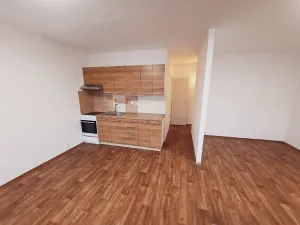 Pronájem bytu 2+kk, Litoměřice, Revoluční, 42 m2