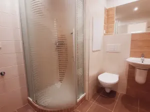 Pronájem bytu 2+kk, Litoměřice, Revoluční, 42 m2