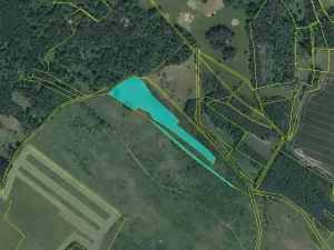 Dražba pozemku, Černošín, 17271 m2