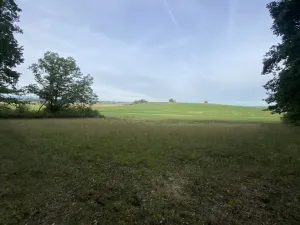 Prodej louky, Ostřetín - Vysoká u Holic, 2972 m2