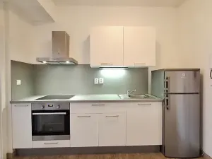 Pronájem bytu 2+1, Praha - Bubeneč, U zeměpisného ústavu, 49 m2