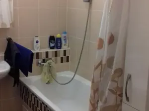 Pronájem bytu 2+kk, Brno, Křehlíkova, 55 m2