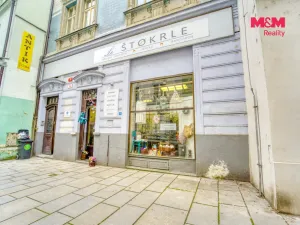 Pronájem obchodního prostoru, Plzeň - Vnitřní Město, Veleslavínova, 95 m2