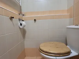 Pronájem bytu 1+kk, Ústí nad Labem - Ústí nad Labem-centrum, Hoření, 21 m2