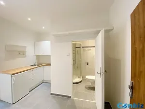 Prodej bytu 1+1, Praha - Karlín, Peckova, 29 m2
