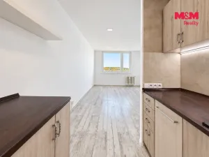 Prodej bytu 2+kk, Mladá Boleslav, Jana Palacha, 42 m2