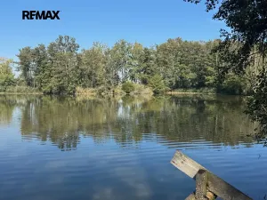 Prodej komerčního pozemku, Rokytno, 99492 m2