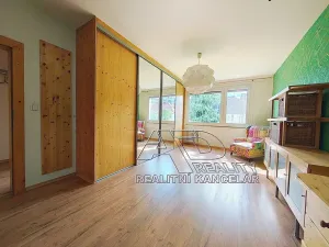 Prodej bytu 3+1, České Budějovice, 80 m2
