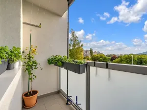 Pronájem bytu 2+kk, Česká Lípa, Jáchymovská, 43 m2