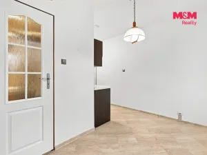 Prodej bytu 3+1, Ústí nad Labem - Střekov, Tolstého, 65 m2