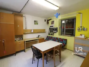 Pronájem skladu, Holubice, 1028 m2