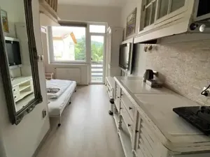 Pronájem bytu 1+kk, Slapy, 31 m2