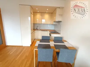 Pronájem bytu 2+kk, Praha - Holešovice, U průhonu, 47 m2