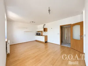 Prodej bytu 1+kk, Plzeň, Karlova, 42 m2